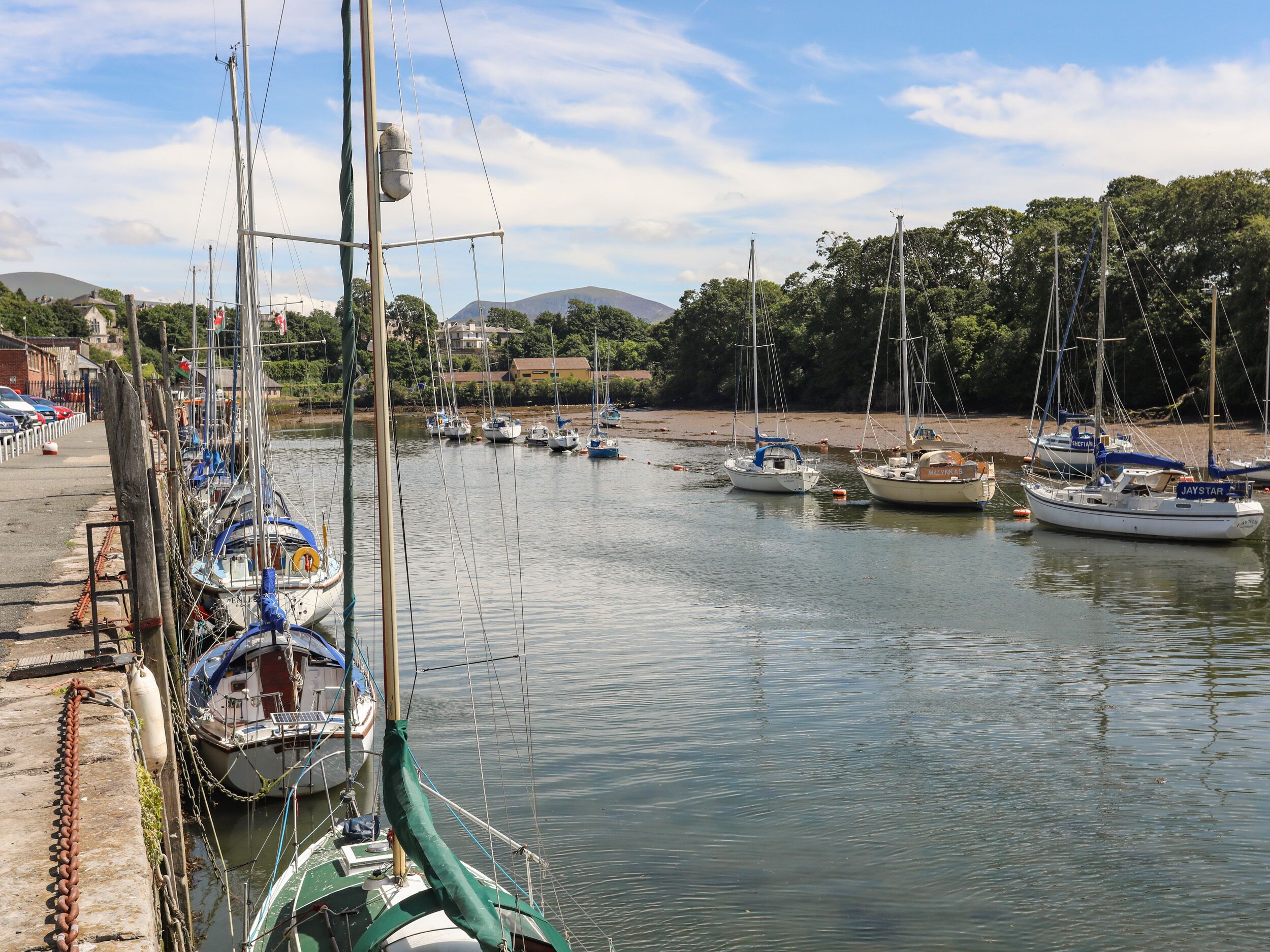 A marina with multiple sailboats docked along the shore, surrounded by greenery and buildings in the background.