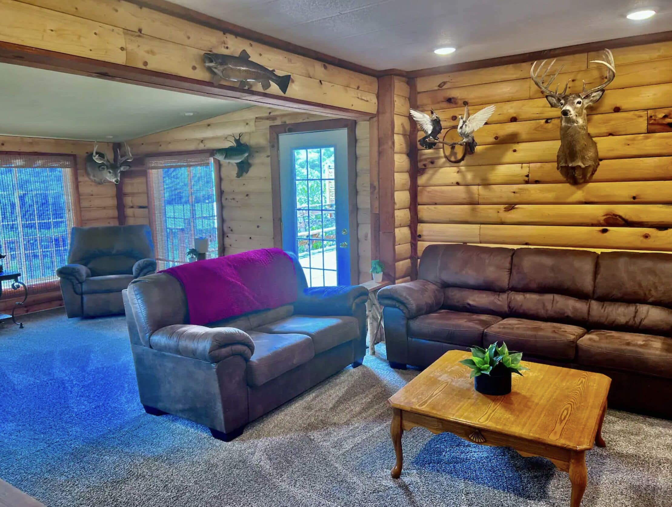 A log cabin interior with two leather sofas, a wooden coffee table, and various mounted animal heads on the walls.