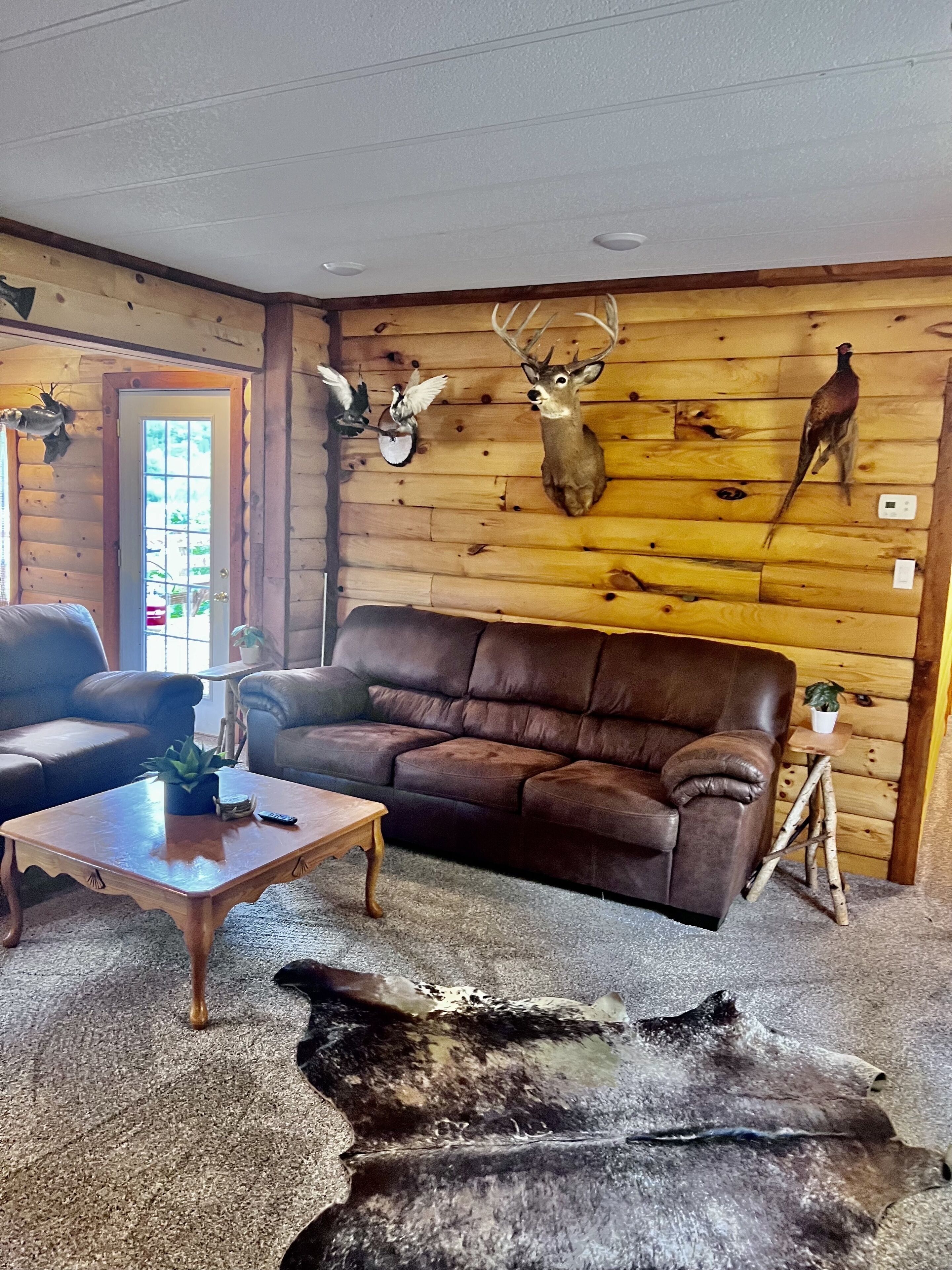 Ein Interieur einer Blockhütte mit einem braunen Ledersofa, einem Holztisch und aufgehängten Tierköpfen an der Wand.