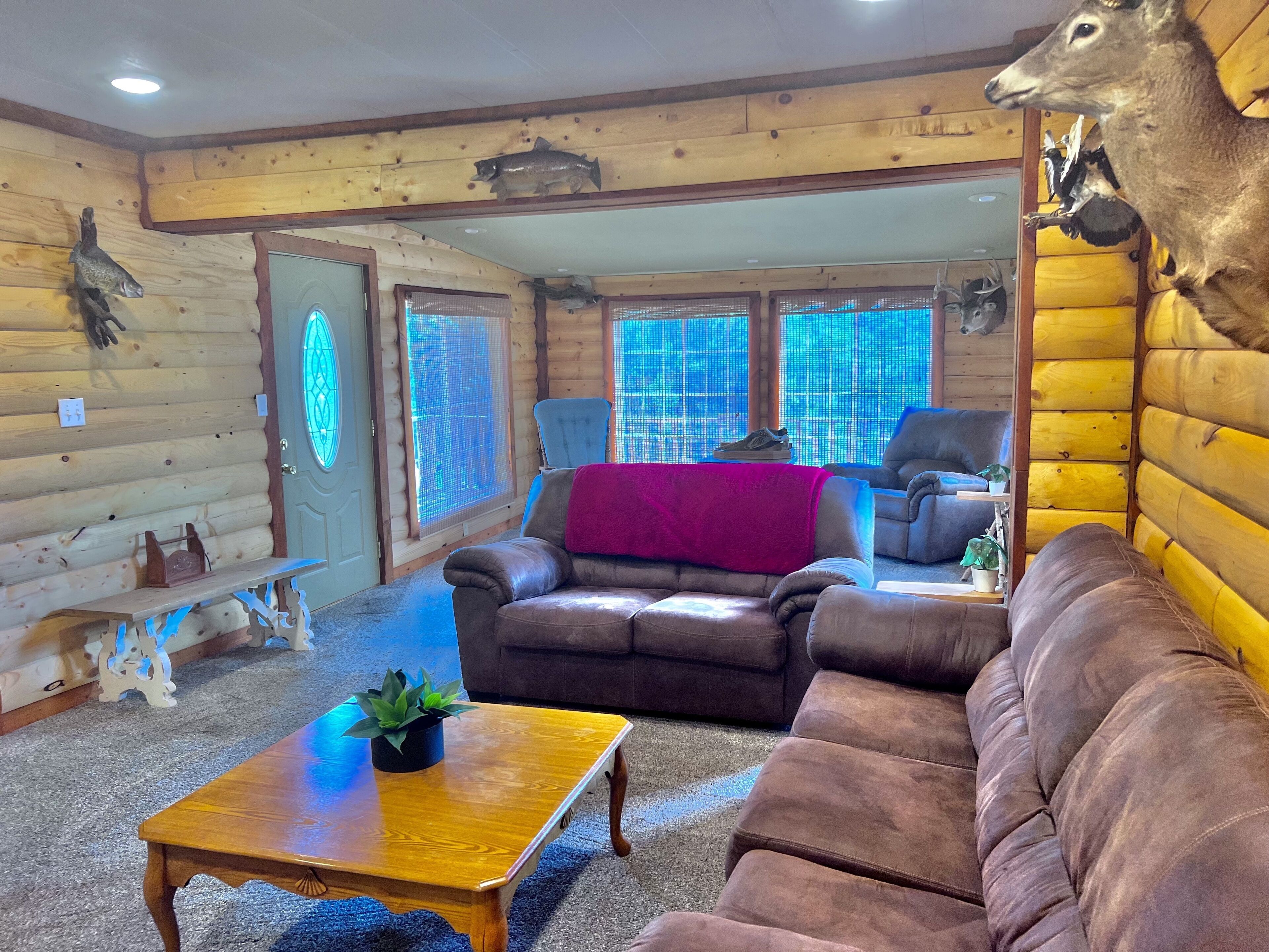 A log cabin interior with a brown leather sofa, a wooden coffee table with a plant, and a deer head mounted on the wall.