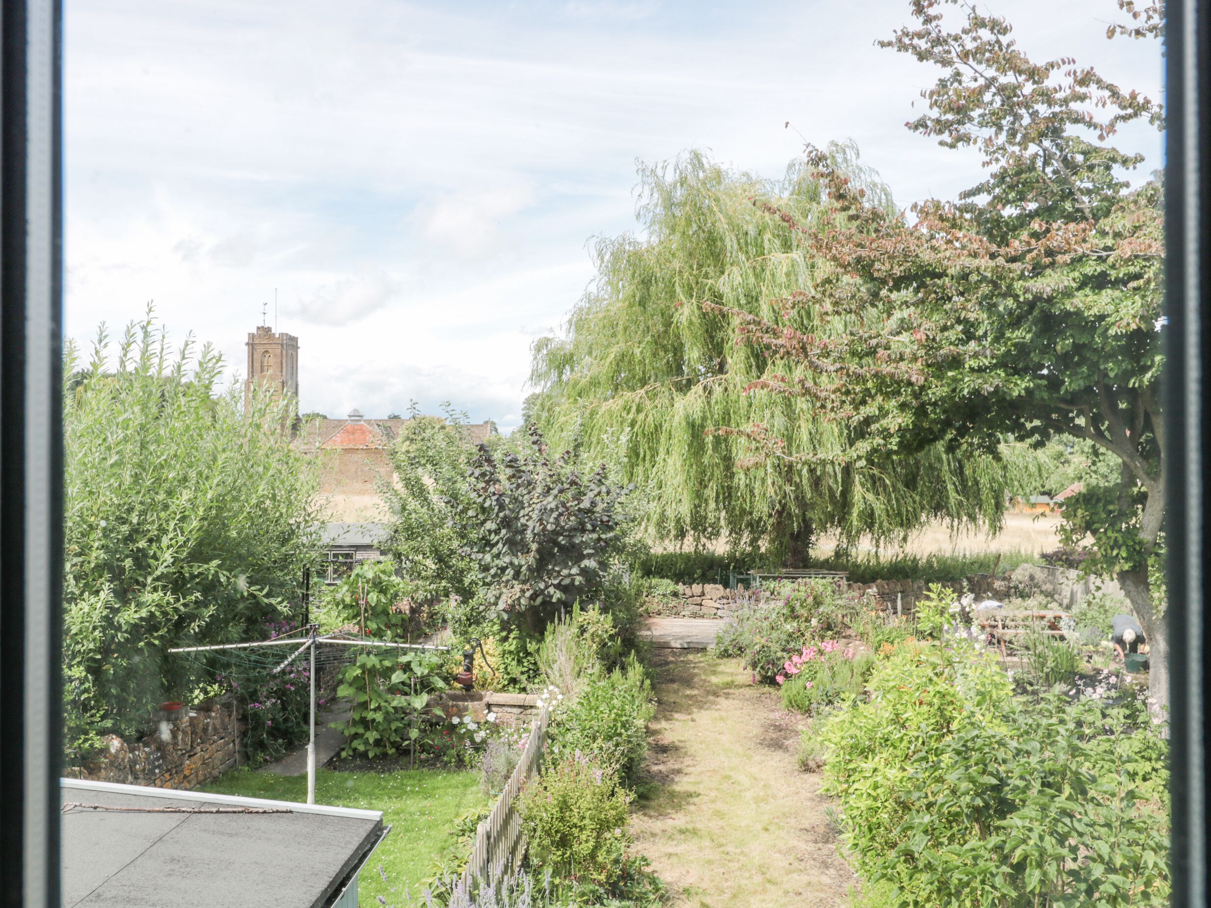 Un jardín con diversas plantas y un sendero.