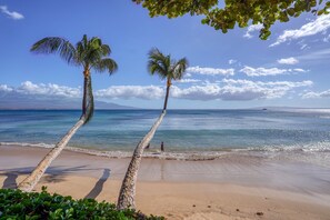 A beach with two palm trees and a clear view of the ocean. - Suite Maui Paradise Condo - New Listing, Experienced Host! (Wailuku)