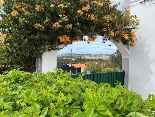 Property grounds - Quinta da Encosta B&B Suite (Loule)