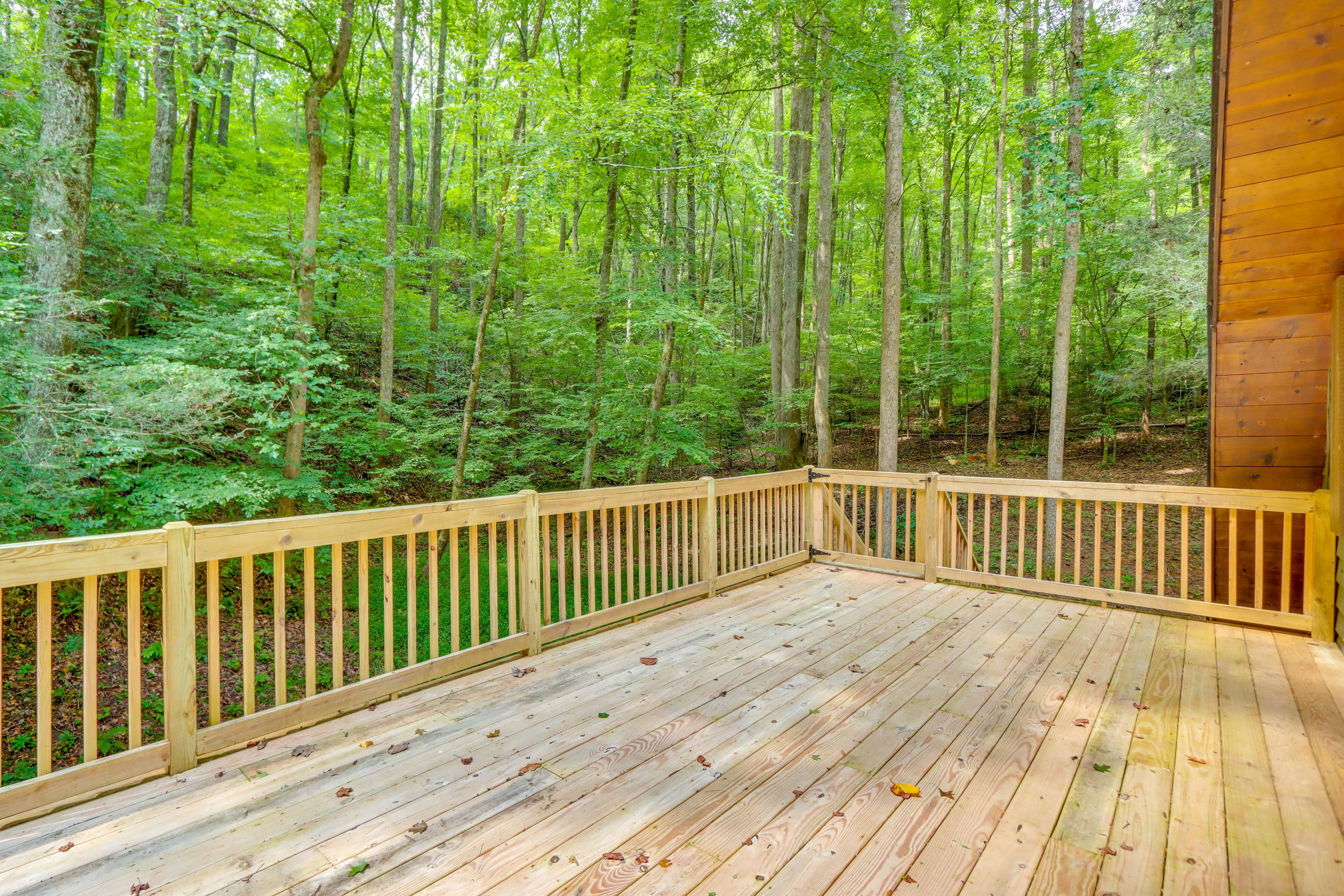 A wooden deck with a view of a dense forest.