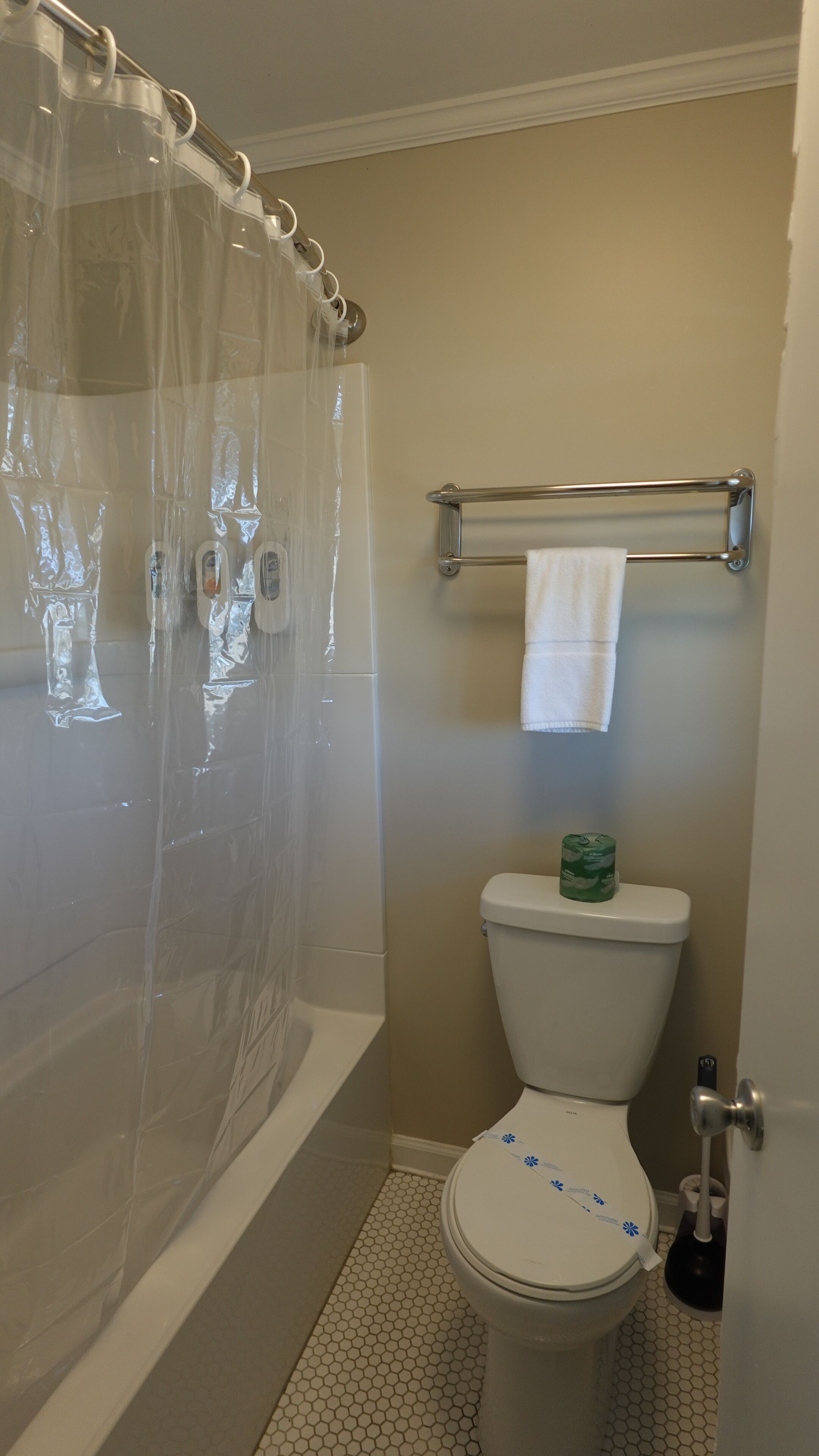 Ein Badezimmer mit Duschvorhang, Toilette, Handtuchhalter und WC-Bürste.