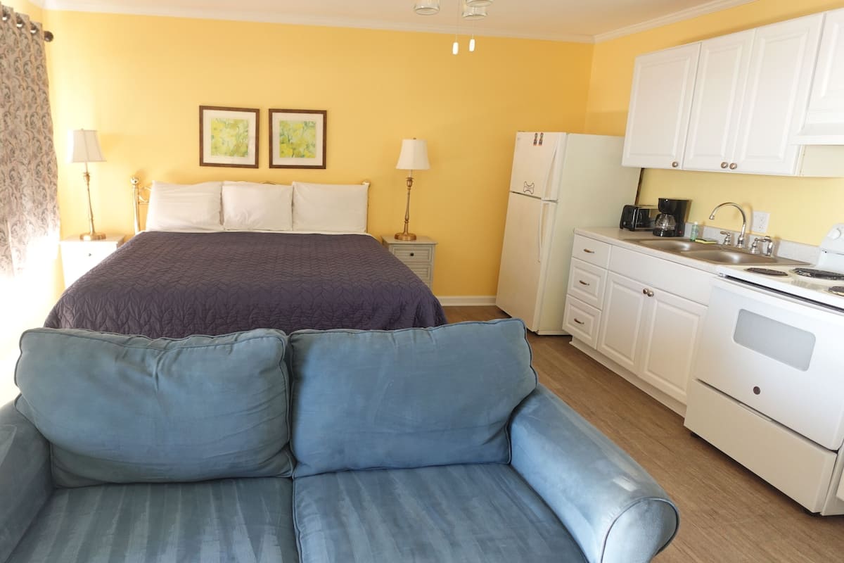 A room with a bed, a sofa, a kitchen area, and two framed pictures on the wall.