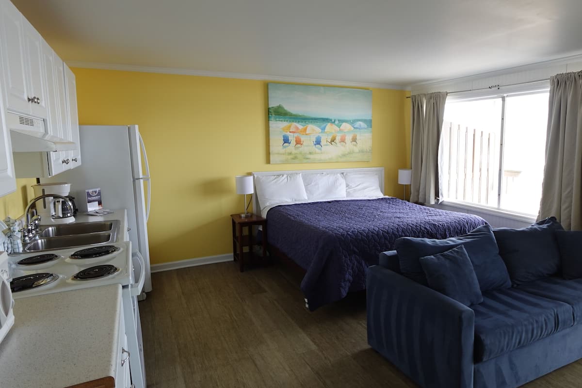 A room with a bed, a sofa, a painting, a window with curtains, a kitchen area with a stove and sink.