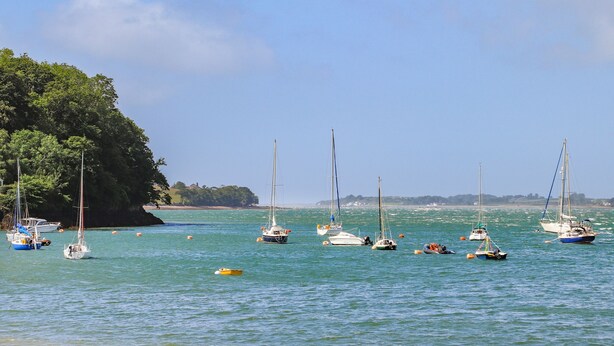 Eine Küstenansicht mit mehreren Segelbooten, die an einem Sandstrand vor Anker liegen, umgeben von üppiger Vegetation und blauem Himmel.