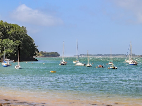 Property grounds. 23 Beach Road