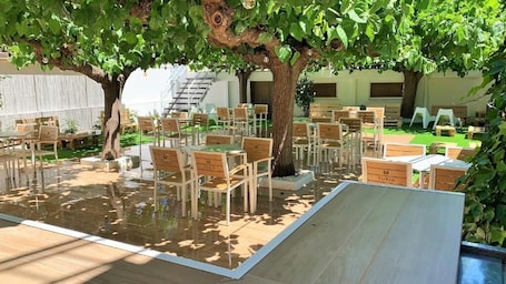 An outdoor dining area with tables and chairs under trees, a small pool, and a staircase in the background.