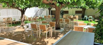 Meson El Kubano B & B