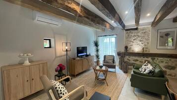 Télévision, cheminée, lecteur de DVD, livres