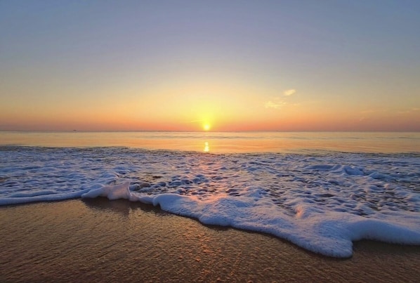 Serviettes de plage