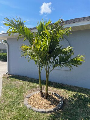 Overnatningsstedets område