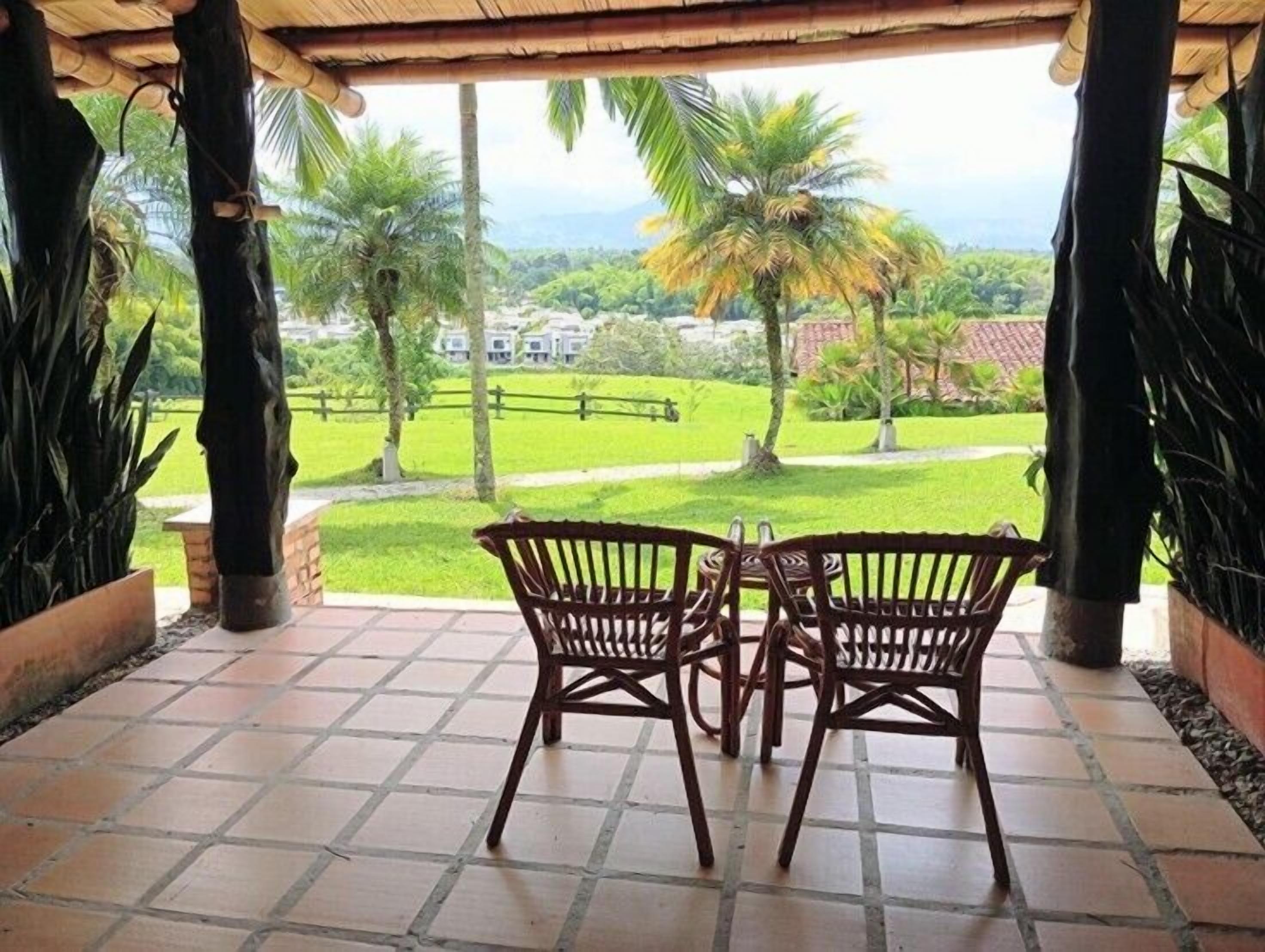 Habitación estándar con 2 camas individuales | Terraza o patio