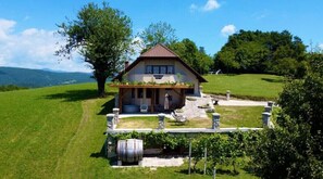 Exterior - Vineyard Chalet With Jacuzzi and Sauna for FREE (Trebnje)