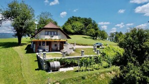 A house with a sloped roof, a porch, and a vineyard in the foreground. - Vineyard Chalet With Jacuzzi and Sauna for FREE (Trebnje)