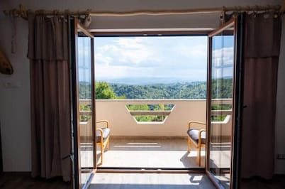 Vineyard Chalet With Jacuzzi and Sauna for FREE