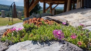 A rock garden with succulents and flowers, a wooden pergola, and a view of the countryside. - Vineyard Chalet With Jacuzzi and Sauna for FREE (Trebnje)