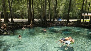 A clear water body surrounded by trees, with people swimming and floating. - Camp Manatee - Riverfront Cabin, Stunning Views, Pet-Friendly, Hot tub + Kayaks! (Fort White)
