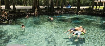 Camp Manatee - Riverfront Cabin, Stunning Views, Pet-Friendly, Hot tub + Kayaks!