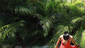 Standard Room, Allergy Friendly, Beachside | Private kitchen - Casa Arrecife (Puerto Escondido)