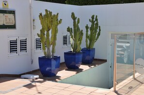 Property grounds - Bungalow Serenity Garden (CN)