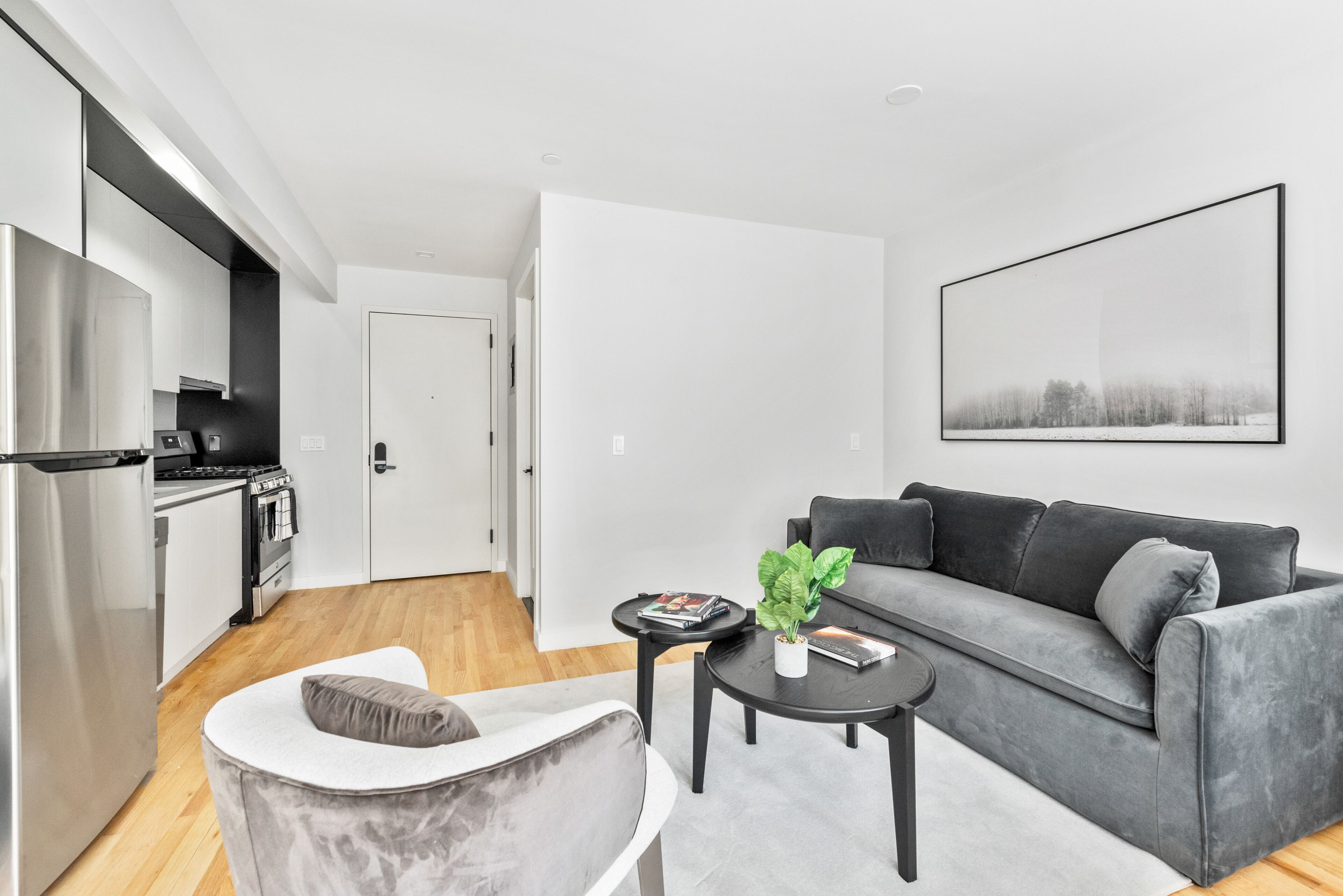 Un apartamento moderno con cocina, un sofá gris, una mesita con una planta y un cuadro en la pared.