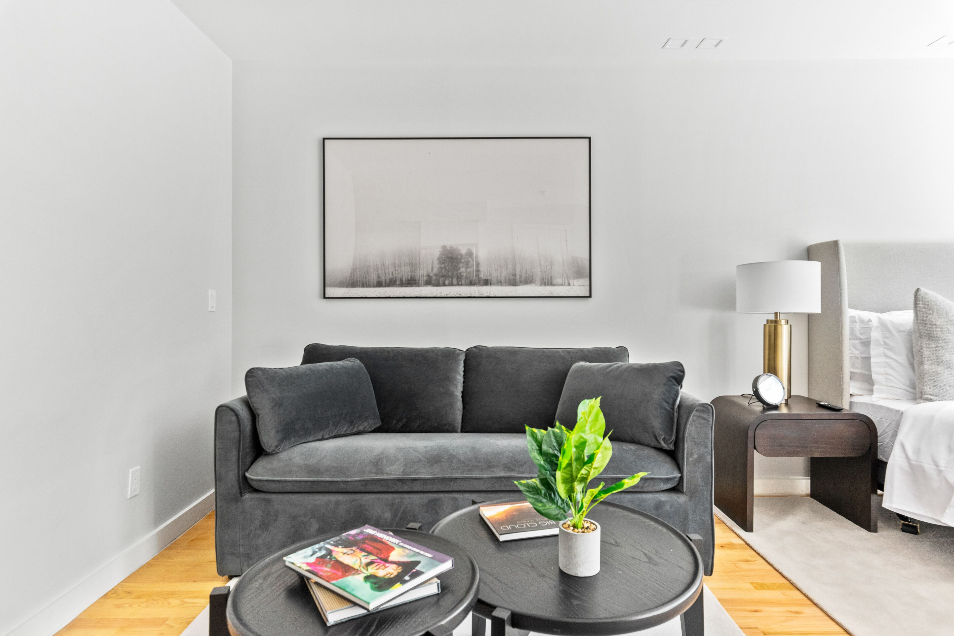 A modern living room with a grey sofa, a coffee table with a plant, a framed picture on the wall, and a bedside table with a lamp.