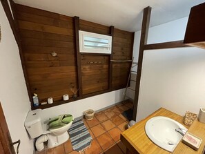 Chuveiro, secador de cabelo, toalhas de banho, sabonete