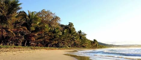 Playa
