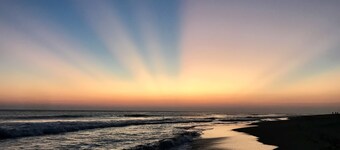 Beautiful cabin on beach, steps from the beach and great surf, peaceful location