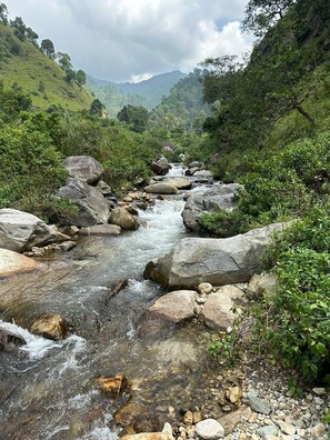 Jardines del alojamiento
