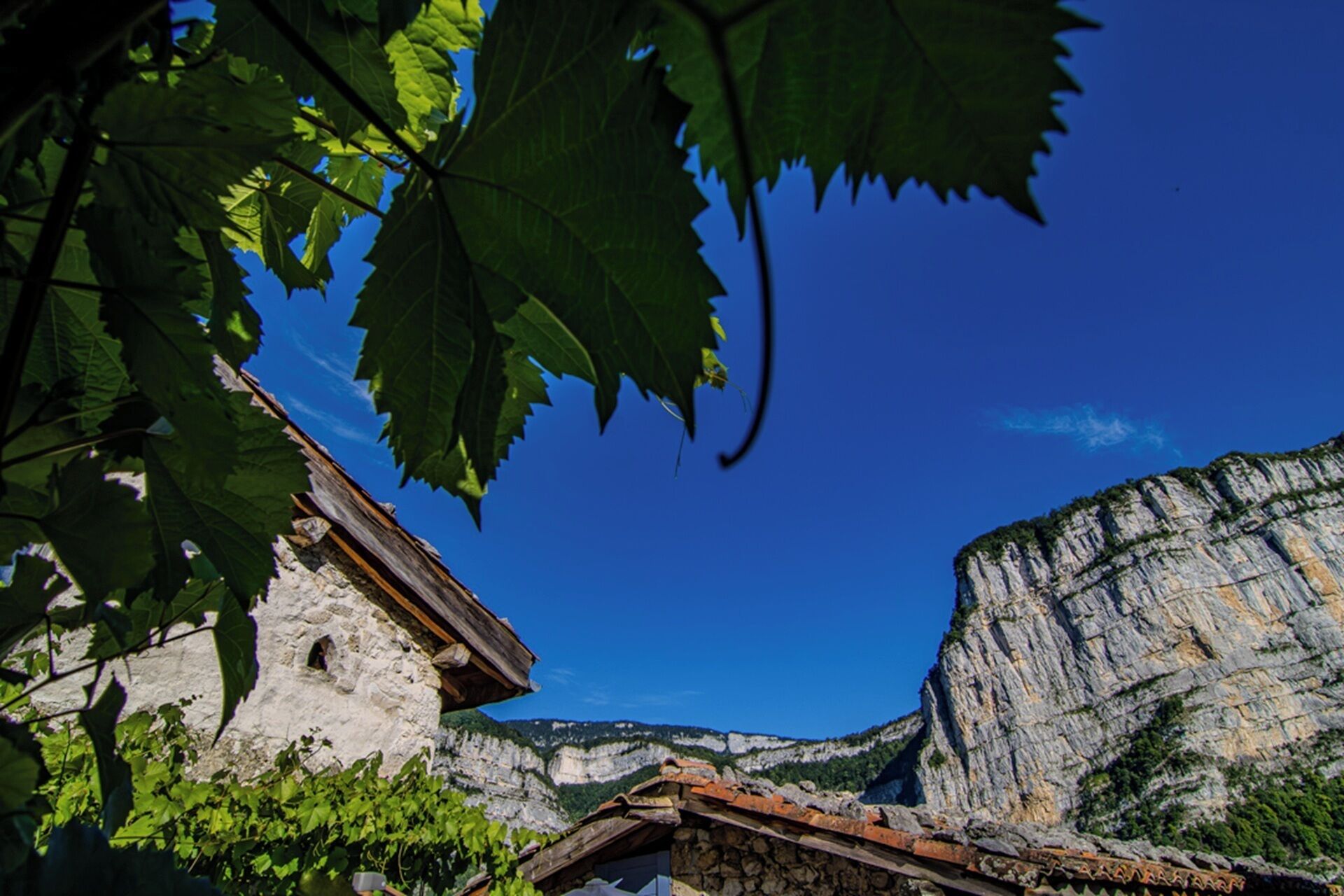 Family Cottage, 2 Bedrooms, Mountain View, Mountainside | Terrace/patio
