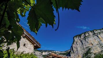 Family Cottage, 2 Bedrooms, Mountain View, Mountainside | Terrace/patio