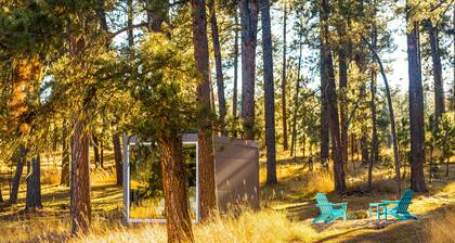 Industrial micro cabin in the forest