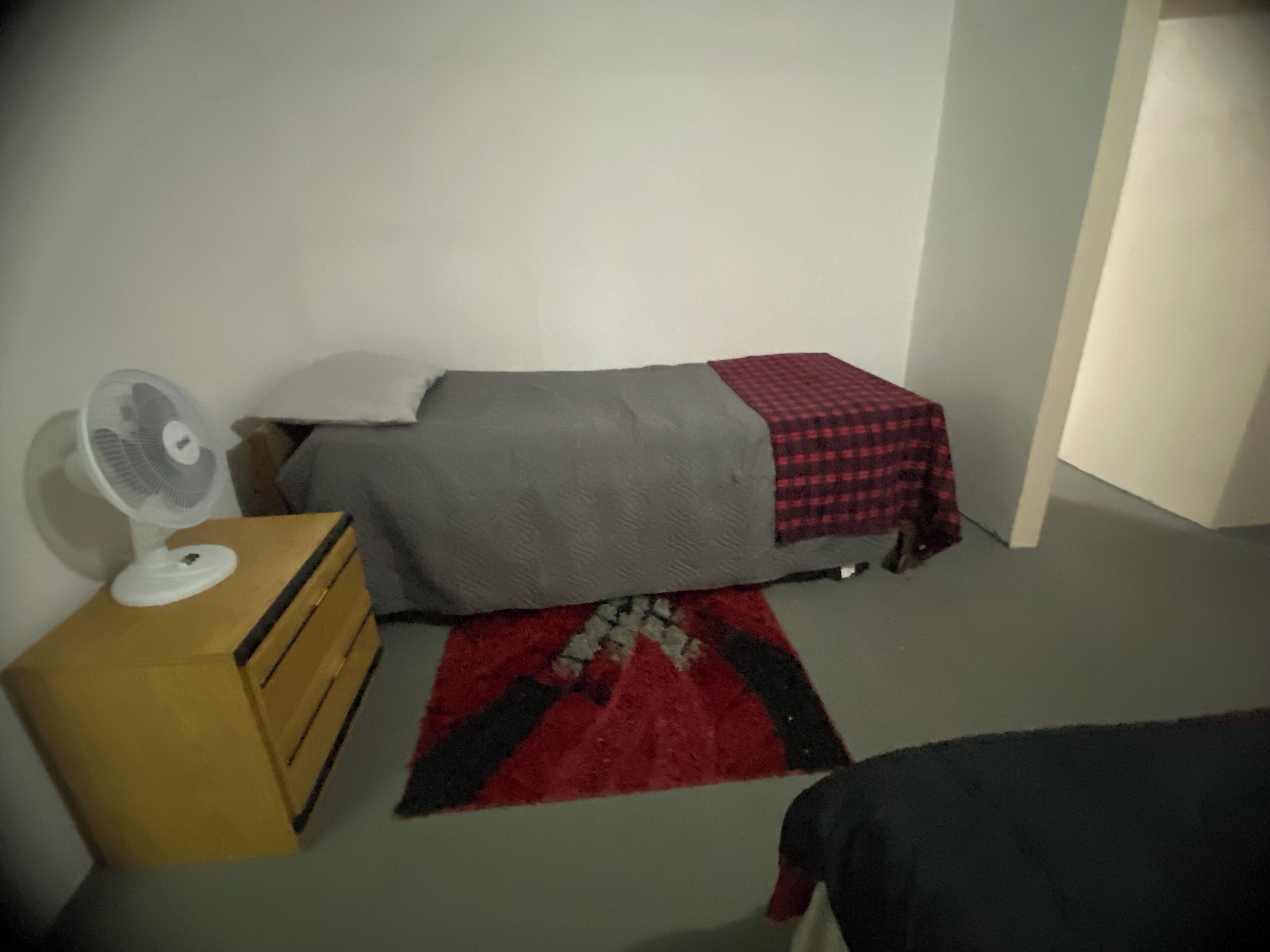 A bedroom with a bed, a bedside table with a fan, a dresser, and a red rug.