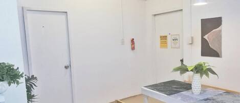A clean, modern hallway with a white door, a small table with a plant, and a wall-mounted fire extinguisher.