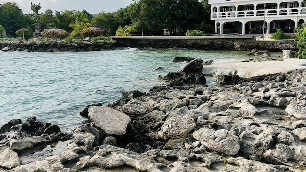 A coastal hotel with a rocky shoreline, a white building with multiple balconies, and lush greenery in the background.