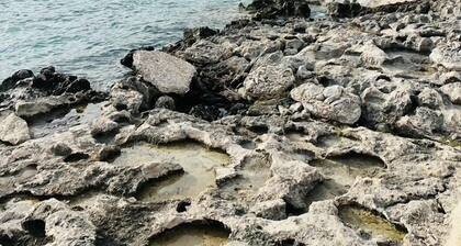 Coral Cove Wellness Resort