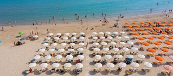 Pet friendly apartment