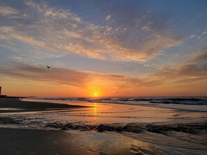 Playa en los alrededores 