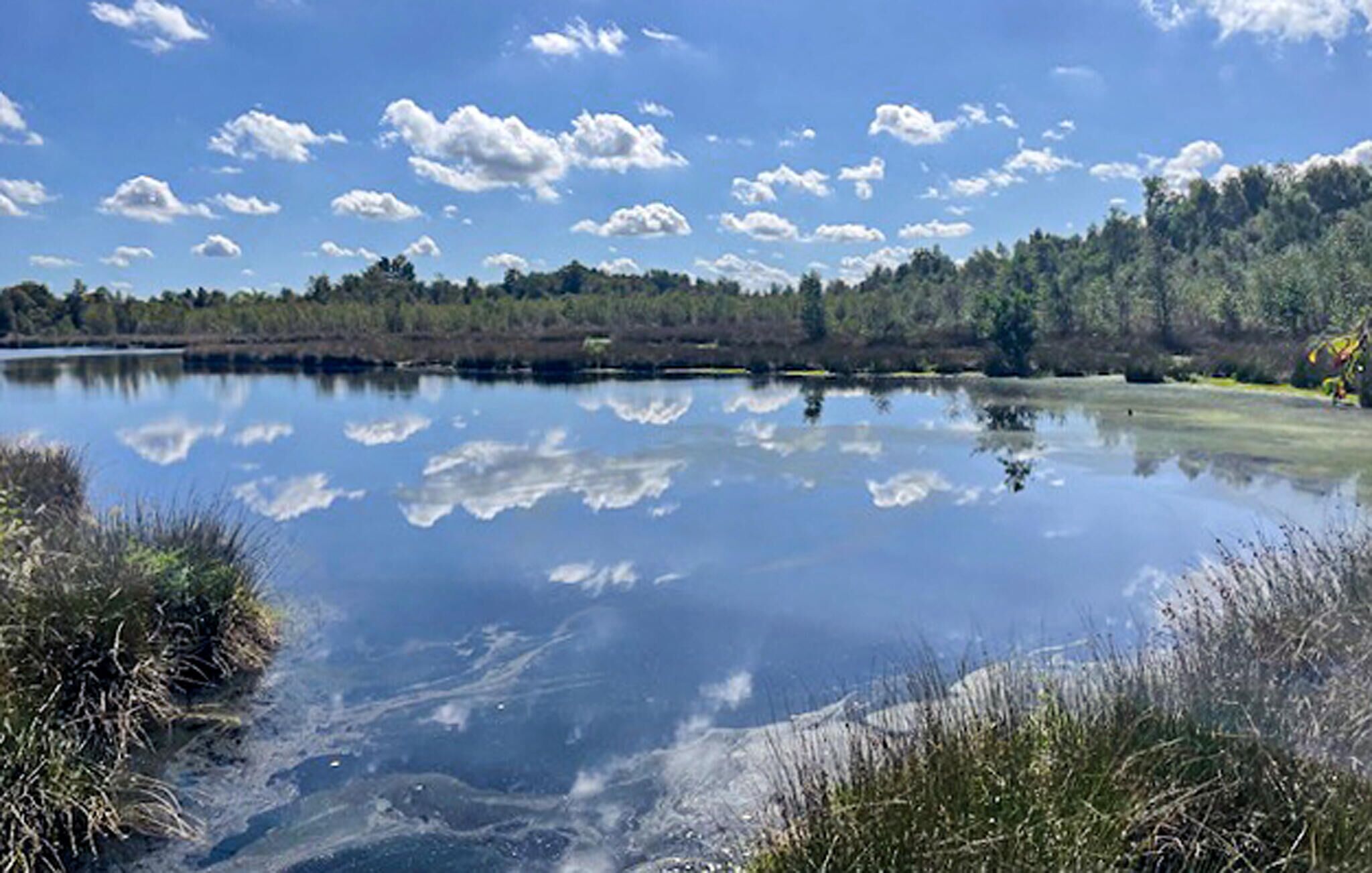 A calm lake with clear reflections of the sky and trees, surrounded by grassy areas and a forested hill.