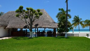 Una estructura con techo de paja, con un árbol frente a ella, que da vista a una playa con palmeras y un cielo despejado.
