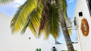 Ein modernes, weißes Gebäude mit einer Palme, einem Kranz und blauem Himmel.