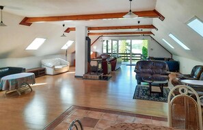 TV, fireplace, table tennis