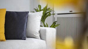 Un salon moderne avec un canapé, deux coussins, une plante en pot et un radiateur.