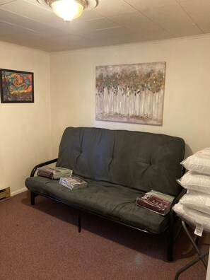 Smart TV, fireplace, books, music library
