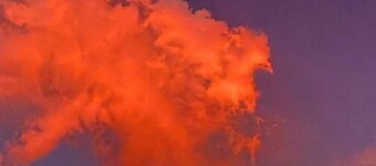 Volcano Red Sky tea garden