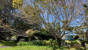 Une zone herbeuse avec des arbres et un petit bâtiment.